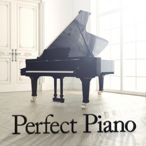 Chopin----[replace by 16381]的專輯Perfect Piano