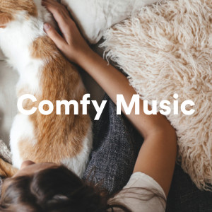 อัลบัม Comfy Music (Explicit) ศิลปิน Various