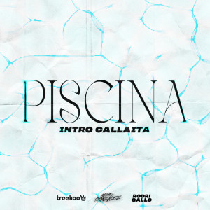 อัลบัม Piscina vs Callaita (Remix) (Explicit) ศิลปิน Treekoo