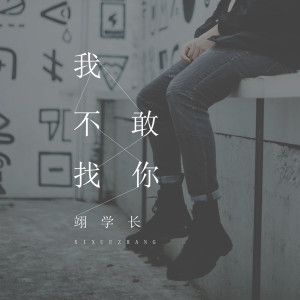 Listen to 我不敢找你 song with lyrics from 伟伟