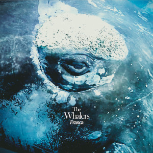 收聽The Whalers的Franca Argenta歌詞歌曲