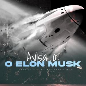 Listen to Avisa o Elon Musk (Explicit) song with lyrics from Pardal 01