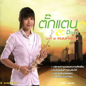 ดาวน์โหลดและฟังเพลง ไม่ใช่แฟนทำแทนไม่ได้ พร้อมเนื้อเพลงจาก ตั๊กแตน ชลดา