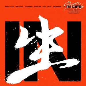 อัลบัม IN LIFE ศิลปิน Stray Kids