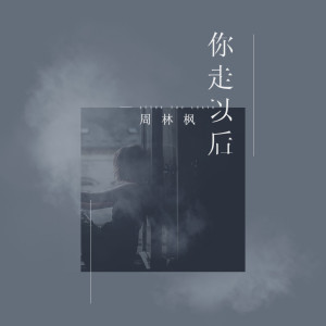 Listen to 你走以后 song with lyrics from 周林枫