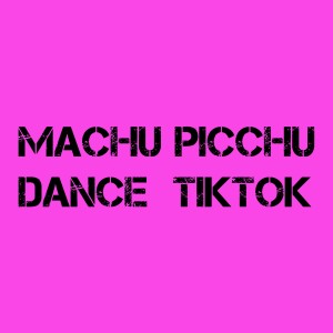 Listen to Machu Picchu- Dance Tiktok song with lyrics from dj Tik Toker
