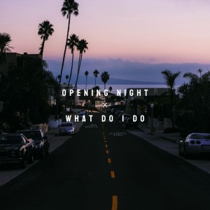 Listen to Opening Night×What Do I Do song with lyrics from Shake9.