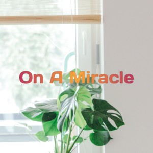 ดาวน์โหลดและฟังเพลง On a Miracle พร้อมเนื้อเพลงจาก Kene Mete