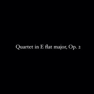 收聽Al Goranski的Quartet in E flat major, Op. 2: 1. Allegro歌詞歌曲