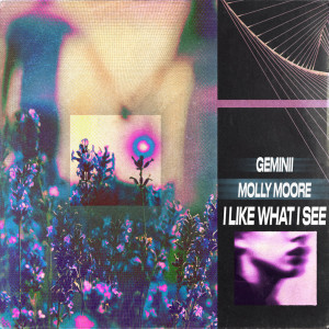 Geminii的專輯I Like What I See