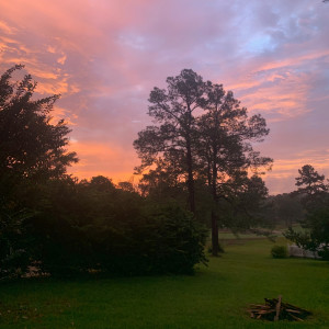 ดาวน์โหลดและฟังเพลง You'll Always Have Me พร้อมเนื้อเพลงจาก William Christie