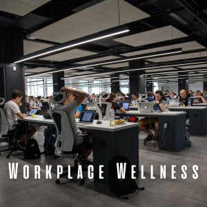 อัลบัม Workplace Wellness: Ambient Music Edition ศิลปิน The Entrainment