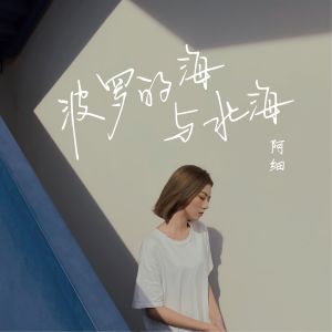 收聽阿細的波羅的海與北海 (伴奏)歌詞歌曲