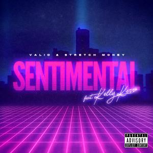 Listen to Sentimental (Clean) song with lyrics from Valid