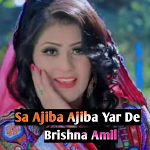 Listen to Sa Ajiba Ajiba Yar De song with lyrics from Brishna Amil