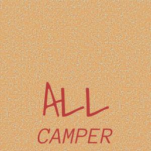 Various Artists的專輯All Camper