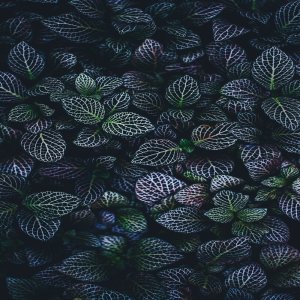 收聽ChildNoah的Being in Harmony歌詞歌曲