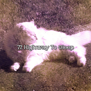 Album 72 Highway To Sleep from Ocean Sounds