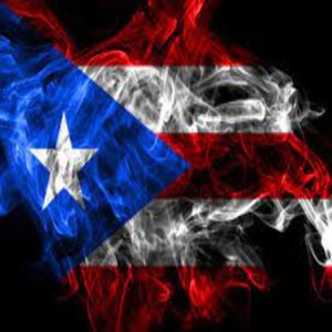 Johnny Ray Salsa Con Clase的專輯Amor Salvaje