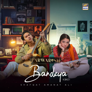 Shafqat Amanat Ali的專輯Bandeya (From "Parwarish")