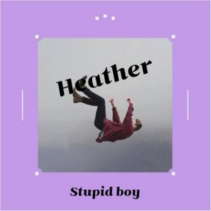 Album Stupid boy from Heather