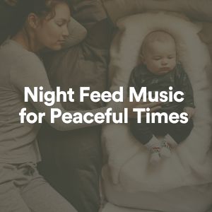 ดาวน์โหลดและฟังเพลง Night Feed Music for Peaceful Times, Pt. 40 พร้อมเนื้อเพลงจาก Baby Sleep