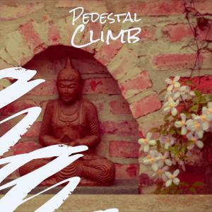 Various Artists的專輯Pedestal Climb