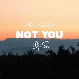 Album NOT YOU (remix) from DJ SA