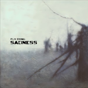Listen to Sadness song with lyrics from Fly Dying