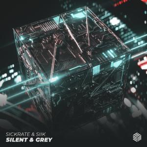 Album Silent & Grey from 