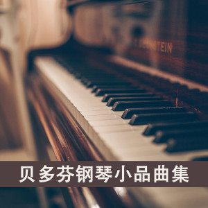 Listen to No. 1 in E-Flat Major song with lyrics from 郑可颜