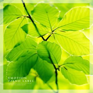 Listen to Happiness In Me song with lyrics from Toni Kim