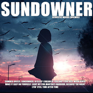 收听Acoustic Moods Ensemble的Because the Night歌词歌曲