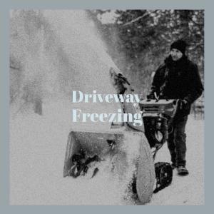 Various的专辑Driveway Freezing
