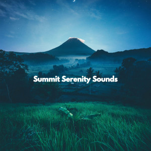 อัลบัม Summit Serenity Sounds ศิลปิน Study Jazz