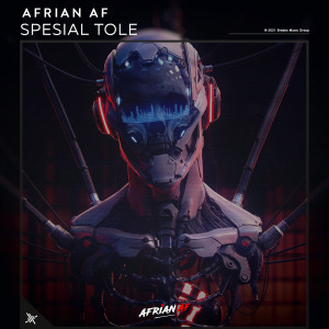 Listen to Spesial Tole song with lyrics from Afrian Af