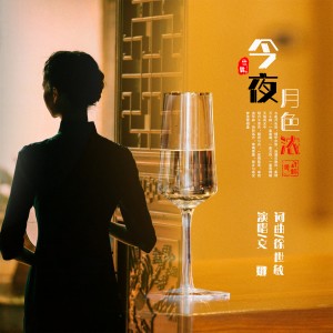 Album 今夜月色浓 from 徐世敏
