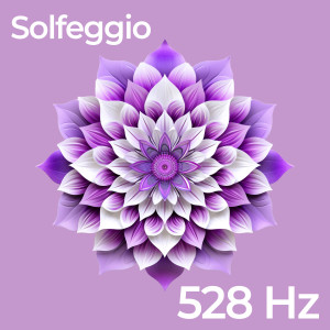 Meditação Mantras Guru的專輯528 Hz Solfeggio Frequencies