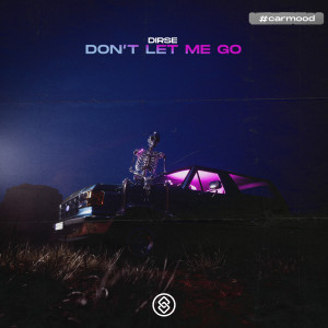 Listen to Don't Let Me Go song with lyrics from Dirse