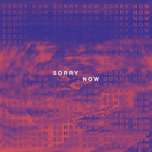 A R I Z O N A的專輯Sorry Now