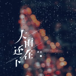 Album 大雨还在下 (DJ R7版) from 高夫