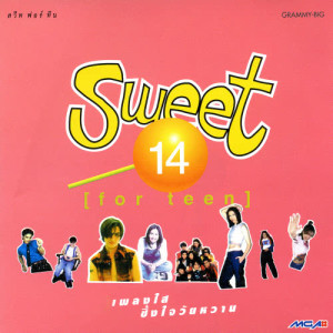 อัลบัม Sweet For Teen ศิลปิน รวมศิลปินแกรมมี่