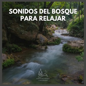 Sonido Del Bosque y Naturaleza的專輯Sonidos del Bosque para Relajar