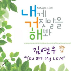 Listen to You Are My Love song with lyrics from 金延宇