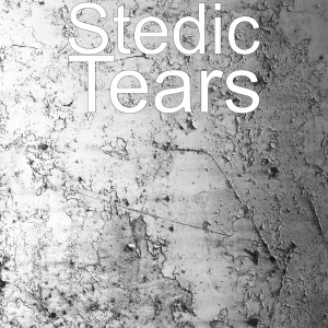 Dengarkan Tears lagu dari Stedic dengan lirik