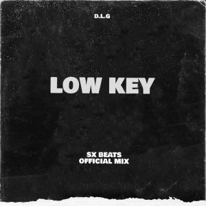 ดาวน์โหลดและฟังเพลง Low Key (SX Beats Remix Official|Explicit) พร้อมเนื้อเพลงจาก D.L.G