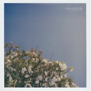 Album Holy or Hollow from Steve Schallert