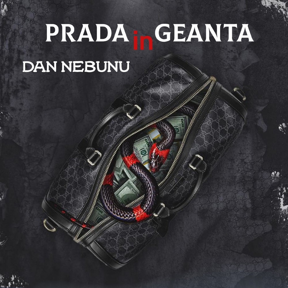 Prada in Geanta