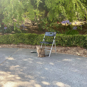 Dengarkan Spend the Weekend (Explicit) lagu dari K dengan lirik