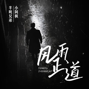 Album 风雨正道 from 半吨兄弟